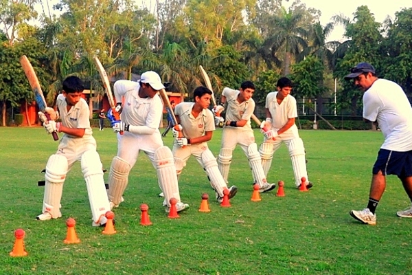 Cricket